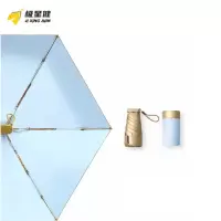极星健 雨伞 小金伞-浅蓝色 把