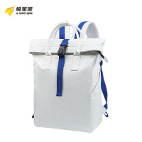 极星健 双肩包 15.6寸 个