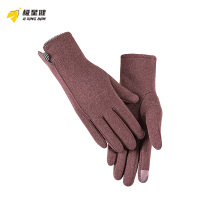 极星健 手套 24cm 双