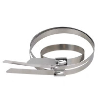 浪伍自锁式不锈钢扎带 300*10mm(单位:条)