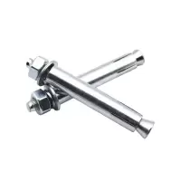 浪伍 膨胀螺丝4.8级 M10*100 (单位:个)