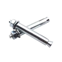 浪伍 膨胀螺丝4.8级 M12*100mm /个