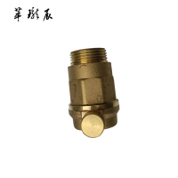 萃珑辰 自动排气阀 DN25 个