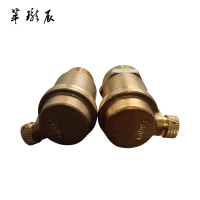 萃珑辰 铜自动排气阀 DN20 个