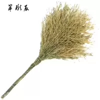 萃珑辰 大扫帚 大号 把