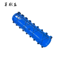 萃珑辰 球墨铸铁加长堵漏器(包PE管)DN315*1000 个