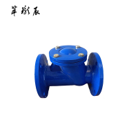 萃珑辰 HQ41X球形止回阀 DN100 个