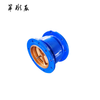 萃珑辰 HC41X消声逆止阀 DN150 个