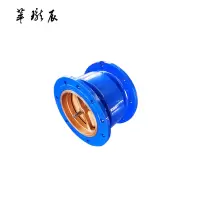 萃珑辰 HC41X消声逆止阀 DN300 个