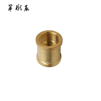 萃珑辰 铜内丝直接 DN15 个