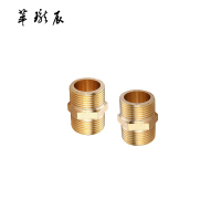 萃珑辰 铜外丝直接 DN20 个