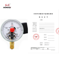 红旗 电接点压力表(带检定证书)YX100 1.6MPA 其他压力值需备注 块