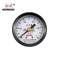 红旗 轴向压力表定制检测款 Y40Z(压力值需备注) 块