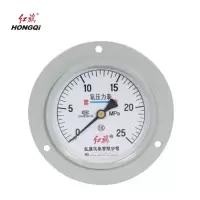 红旗 轴向带边氧气压力表定制检测款YO100ZT(压力值需备注) 块