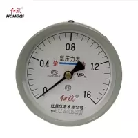 红旗 轴向氧气压力表定制检测款YO100Z(压力值需备注) 块