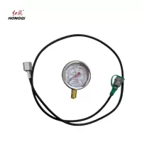 红旗 耐震压力表YTN60 压力值需备注(含1米测试软管) 块