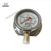 红旗 径向带边耐震压力表检测款YTNT-60 (压力值需备注) 块