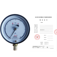 红旗 禁油精密压力表定制检测款YOB-150B 0.25级 (压力值需备注) 块