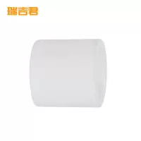 瑞吉君 PPR直接 40mm 个