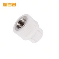 瑞吉君 PPR内丝直接 50mm 个