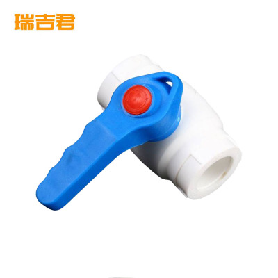 瑞吉君 PPR球阀 25mm 个