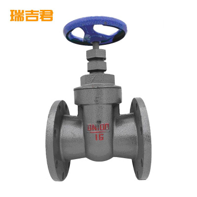 瑞吉君 闸阀 DN100 个