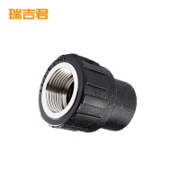 瑞吉君 PE内丝直接 63*2寸 个