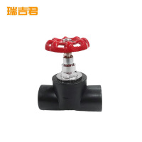 瑞吉君 PE截止阀 32mm 个