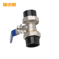 瑞吉君 PE双活接球阀 50mm 个