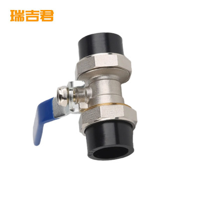 瑞吉君 PE双活接球阀 50mm 个