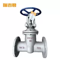 瑞吉君 法兰铸钢闸阀 DN200 个