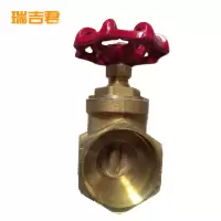 瑞吉君 铜闸阀 DN65 个