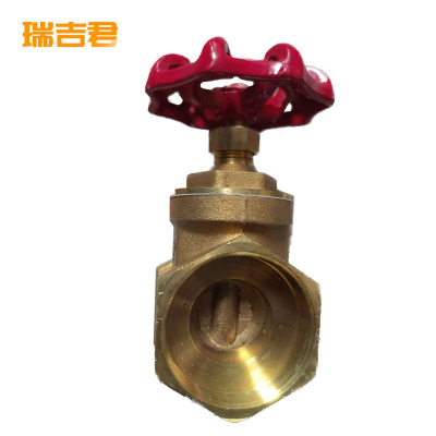 瑞吉君 铜闸阀 DN65 个