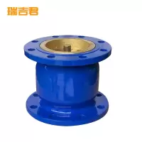 瑞吉君 消声止回阀 DN150 个