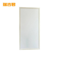 瑞吉君 LED面板灯 300*600mm 个