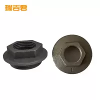 瑞吉君 暖气片补芯 DN40变6分正丝 个