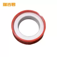 瑞吉君 生料带 防水 卷