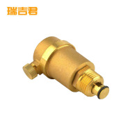瑞吉君 铜排气阀 全自动铜排气阀黄铜自动排气阀 DN20 个