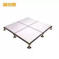 瑞吉君 陶瓷防静电地板 600*600*40mm 块