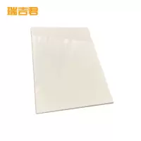 瑞吉君 柜门 RJJGCZ0125 个