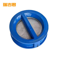 瑞吉君 对夹式止回阀 DN40 个