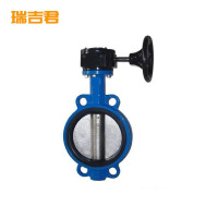 瑞吉君 涡轮对夹蝶阀DN50 个