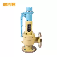 瑞吉君 弹簧式安全阀 DN50 个