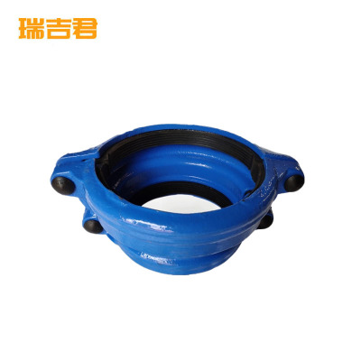 瑞吉君 哈夫节大小头 DN250 个