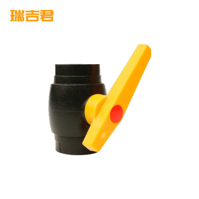 瑞吉君 PE球阀 20mm 个
