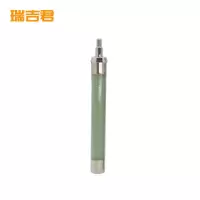 瑞吉君 保险管 XRNP4-12/1A50KA 根