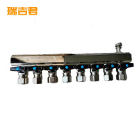 瑞吉君 分水器 8路 个