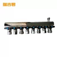 瑞吉君 分水器 8路 个