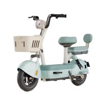 豫众诺 电动车 48V20A 台