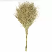 豫众诺 扫帚 大号 把